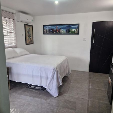 Amharic Otel Kingston Dış mekan fotoğraf