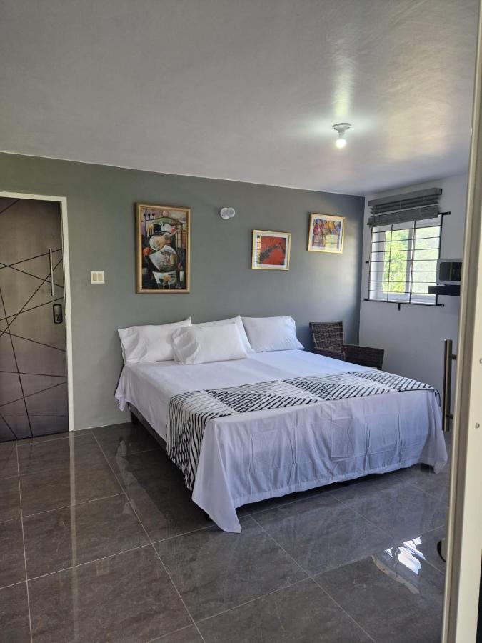 Amharic Otel Kingston Dış mekan fotoğraf