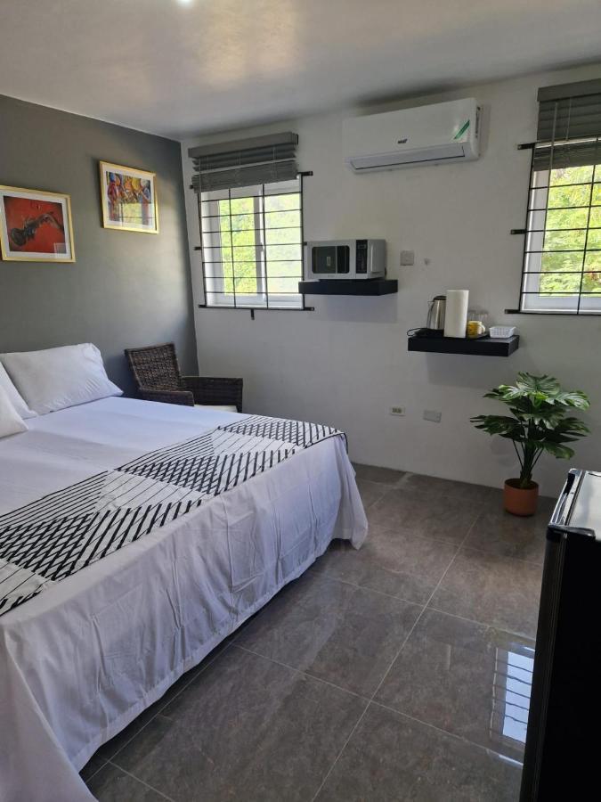 Amharic Otel Kingston Dış mekan fotoğraf