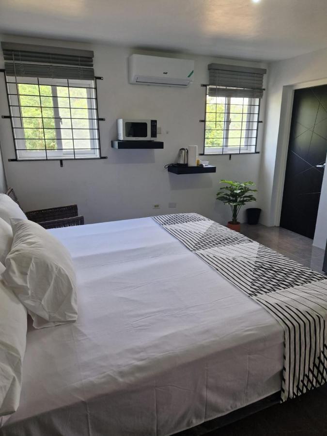 Amharic Otel Kingston Dış mekan fotoğraf