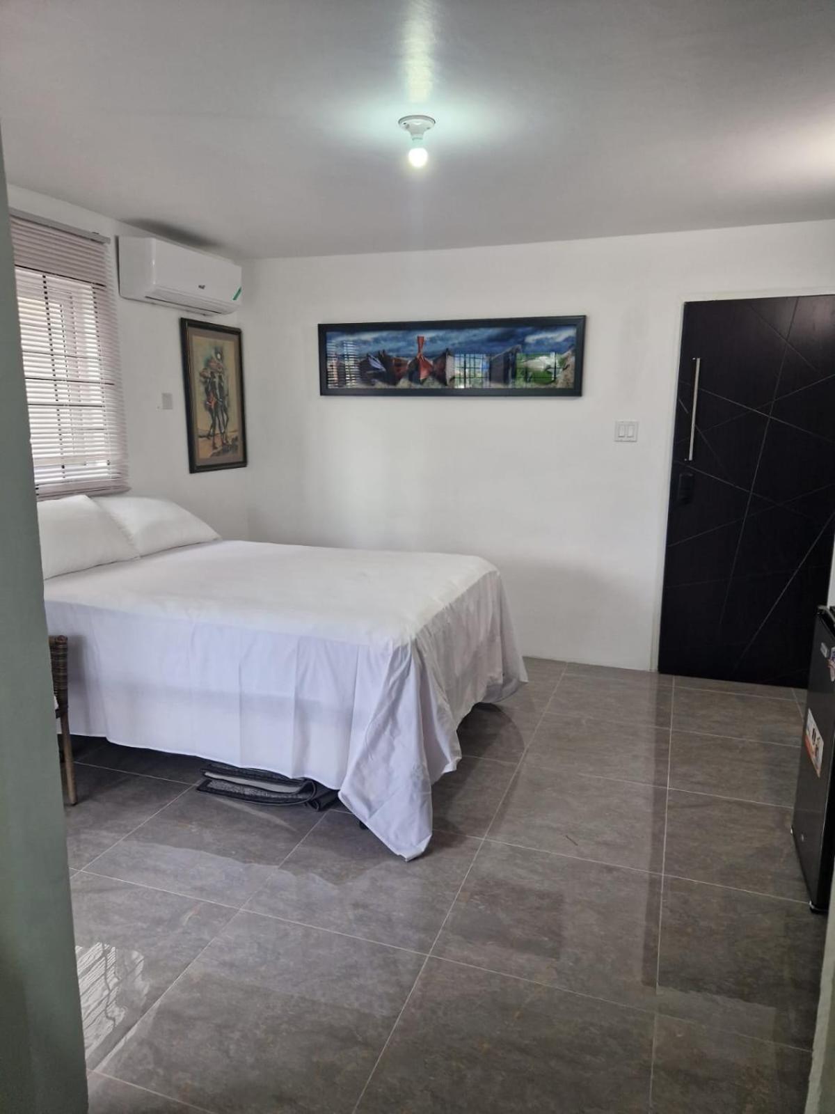Amharic Otel Kingston Dış mekan fotoğraf