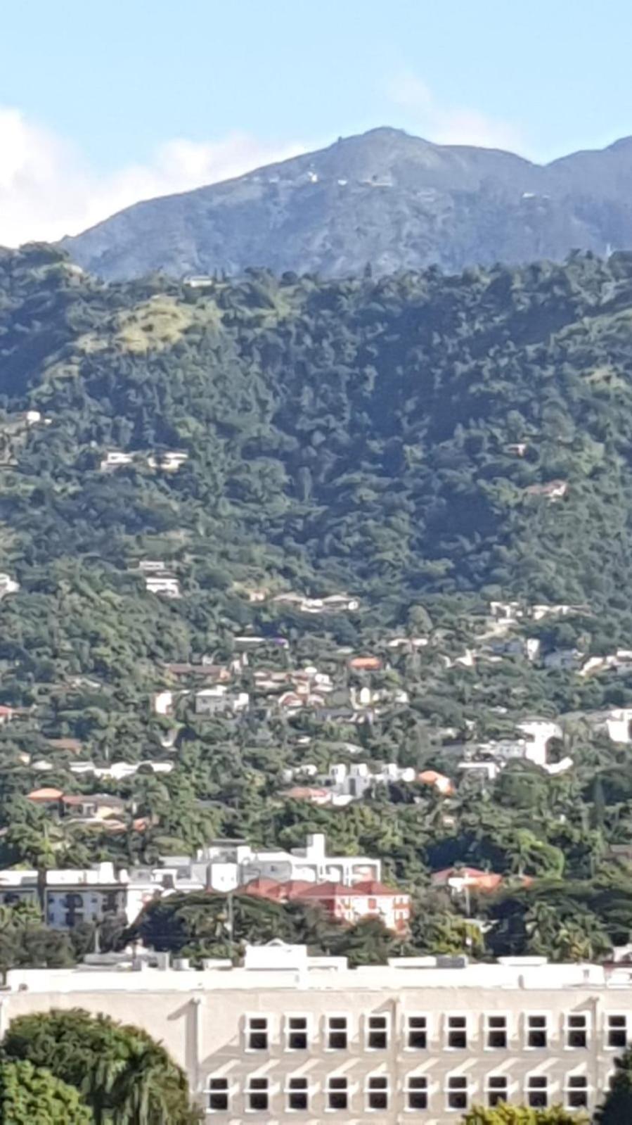 Amharic Otel Kingston Dış mekan fotoğraf