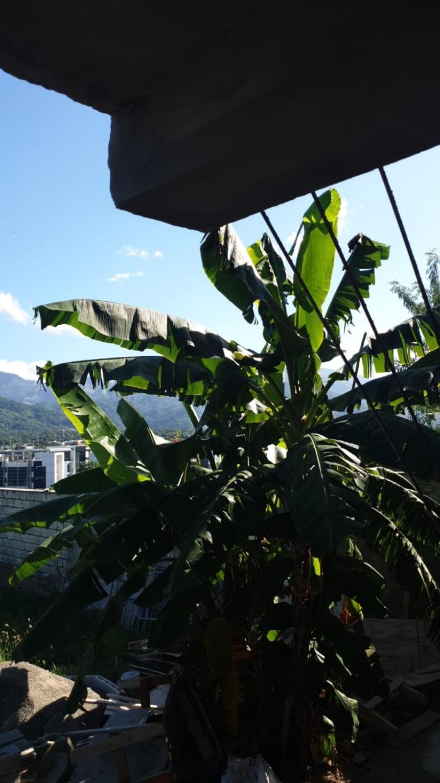 Amharic Otel Kingston Dış mekan fotoğraf