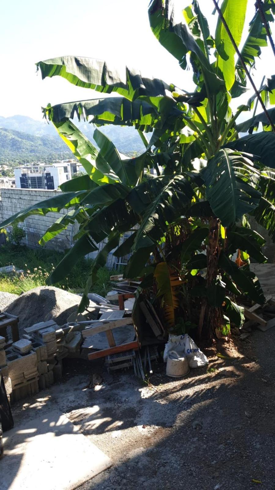 Amharic Otel Kingston Dış mekan fotoğraf